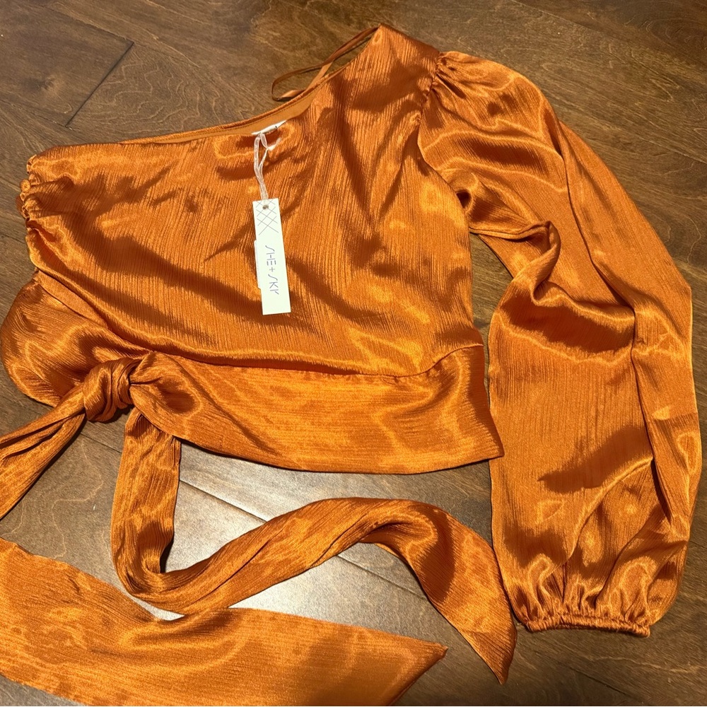 Rust Orange Satin Crop Top
